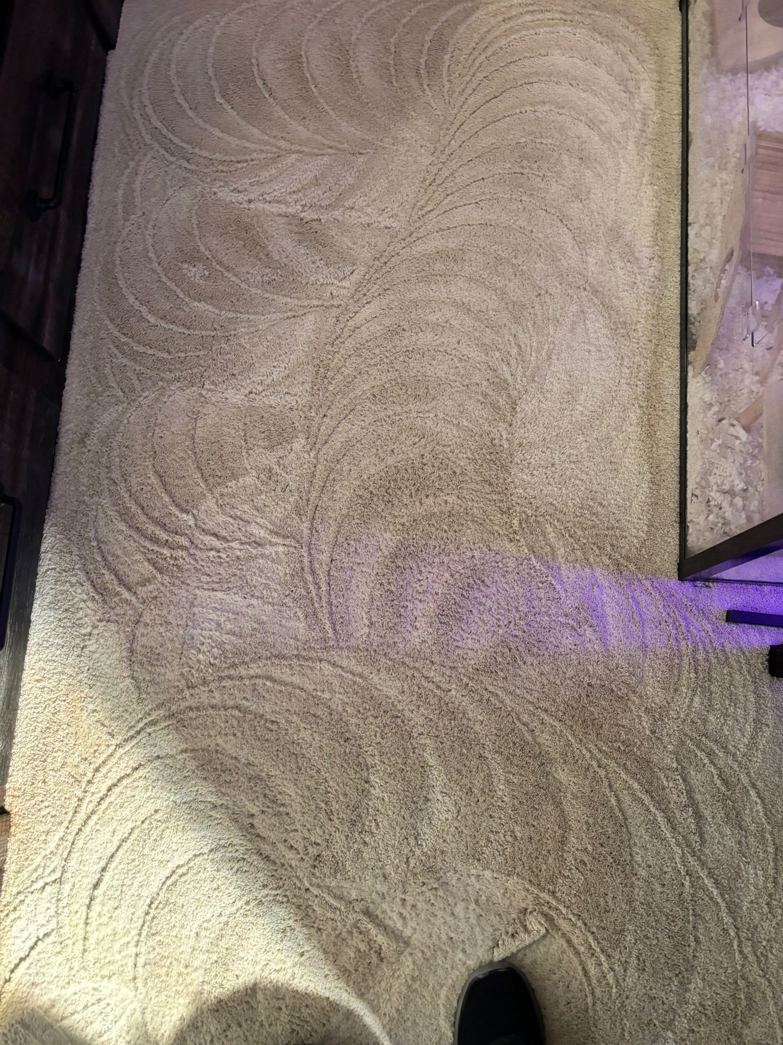 Completed carpet cleaning in Las Cruces NM – freshly cleaned carpet results by Aggie Carpet Cleaning
