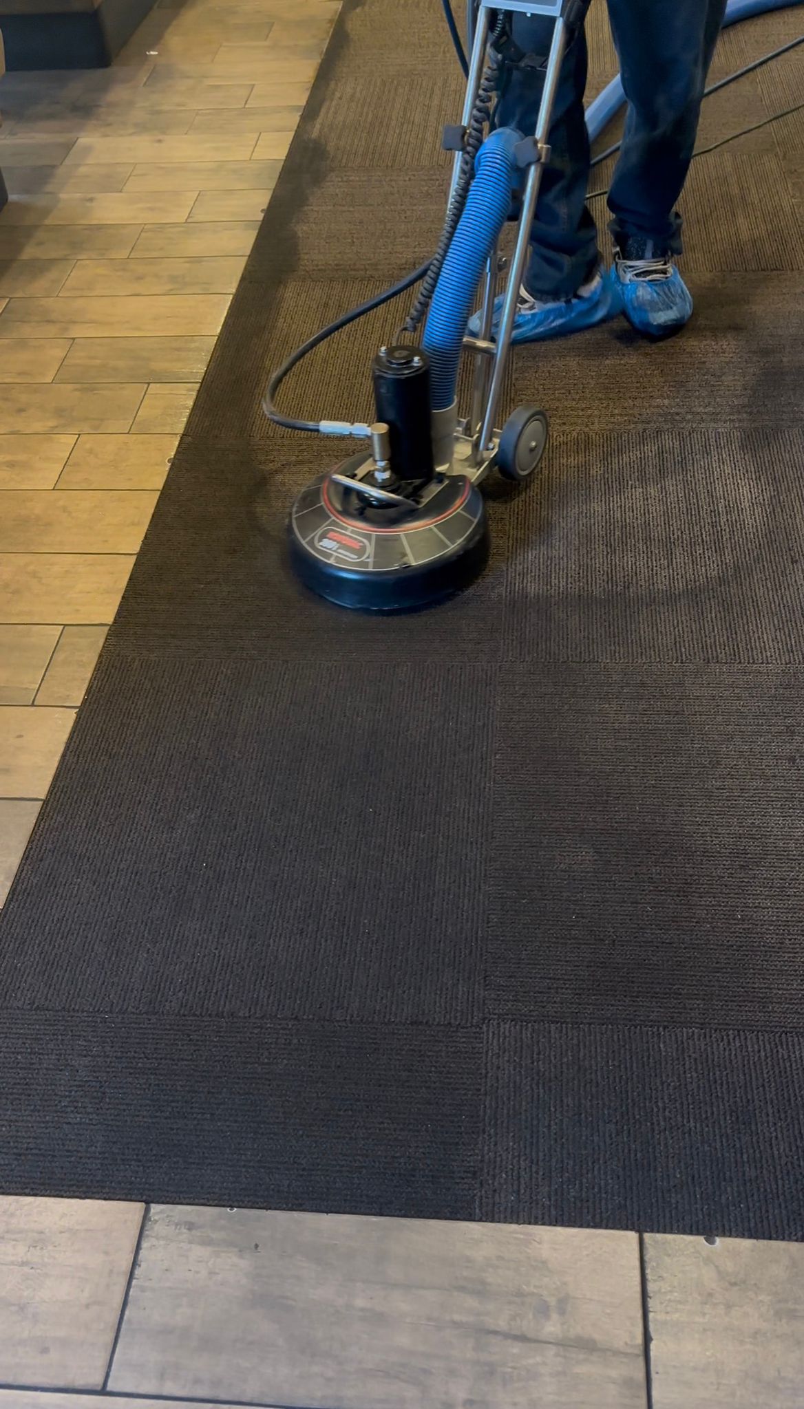 Oriental rug cleaning in Las Cruces NM – professional deep cleaning for area rugs and carpets by Aggie Carpet Cleaning