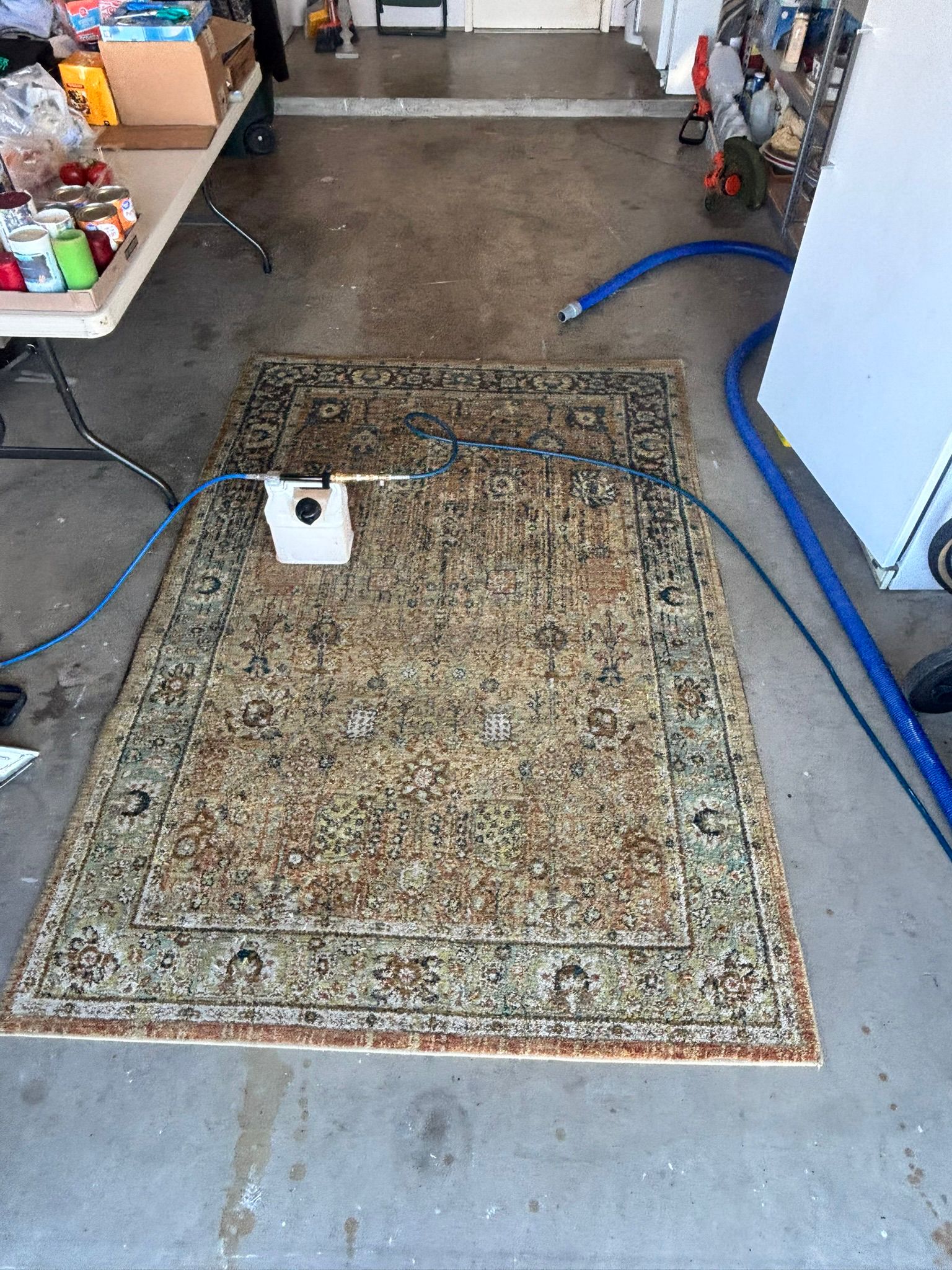 Rug cleaning service in El Paso Texas – professional hot water extraction and stain removal process