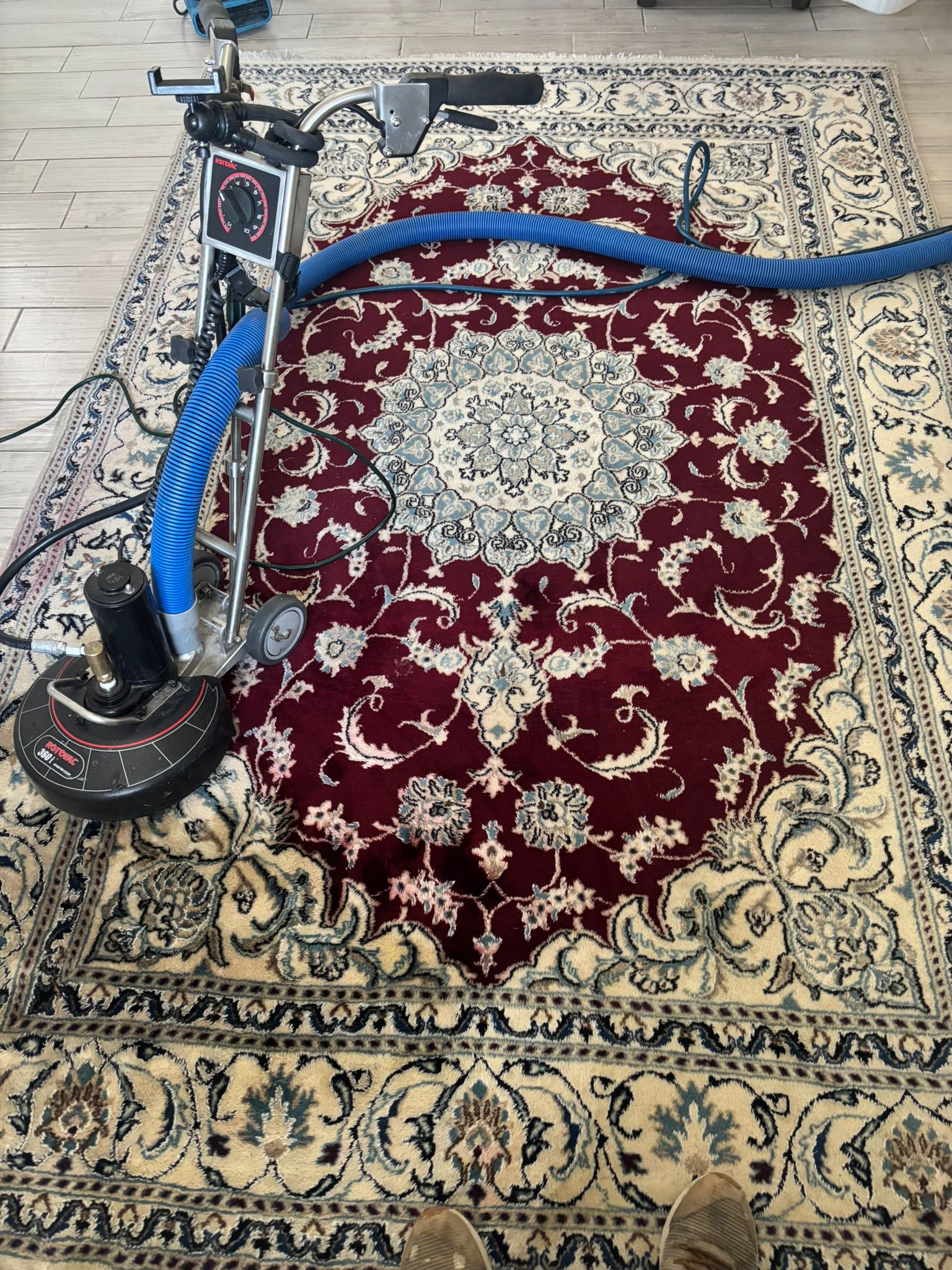 Wool rug cleaning in Las Cruces NM – professional deep cleaning for wool and specialty area rugs